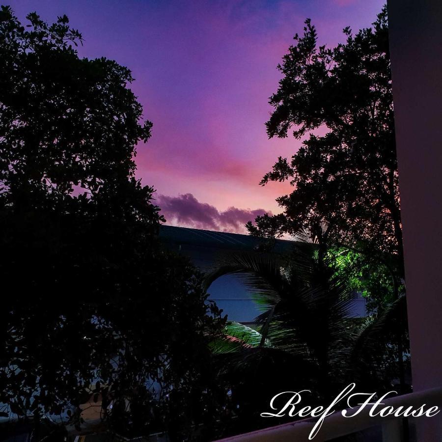 Reef Guest House Μαλέ Εξωτερικό φωτογραφία